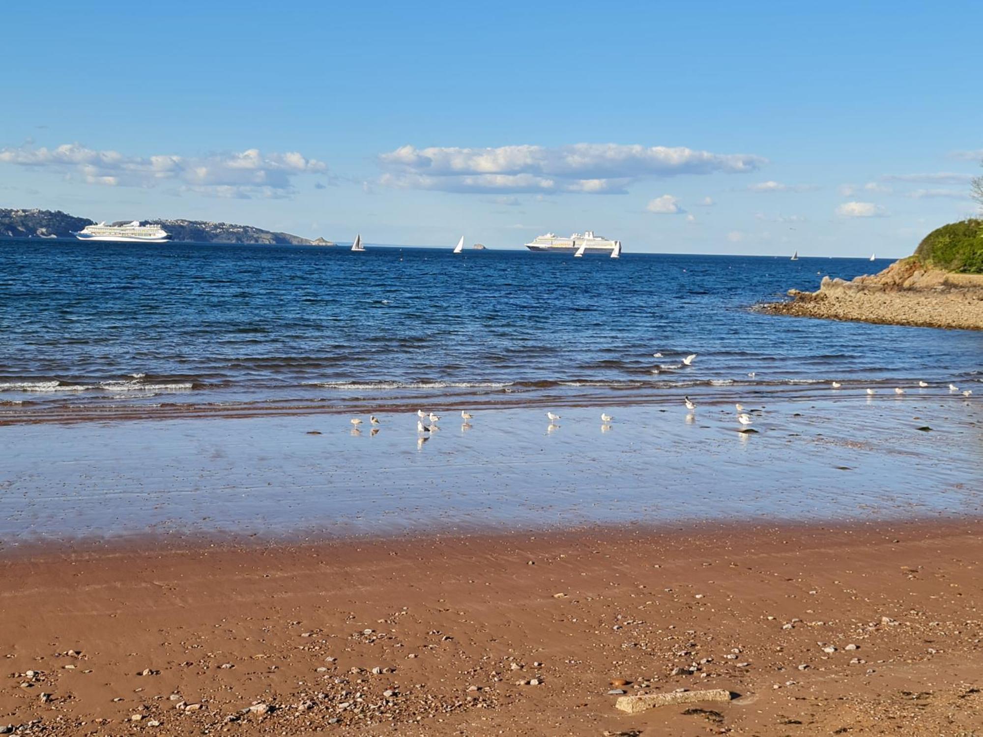 Seaspot Is A 1 Bed Annex Ground Floor Apartment At Stunning Broadsands Beach Nr Brixham! Churston Ferrers Kültér fotó
